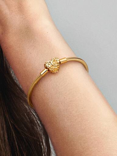 My Pandora Daisy Snake Chain Heart Clasp Charm Bracelet