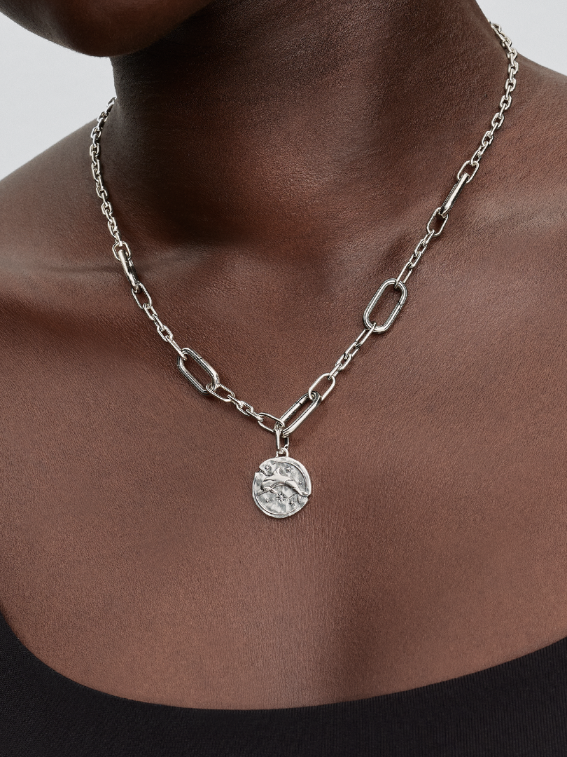 Dolphin Medallion Charm
