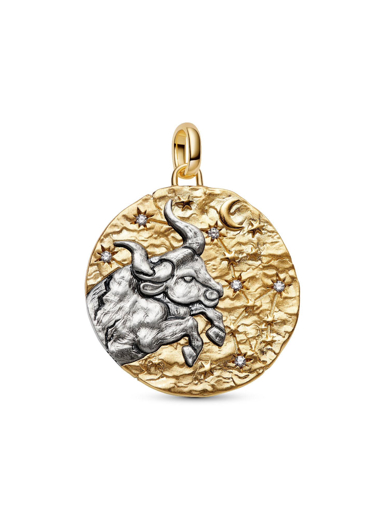 Taurus Zodiac Oversized Medallion Charm