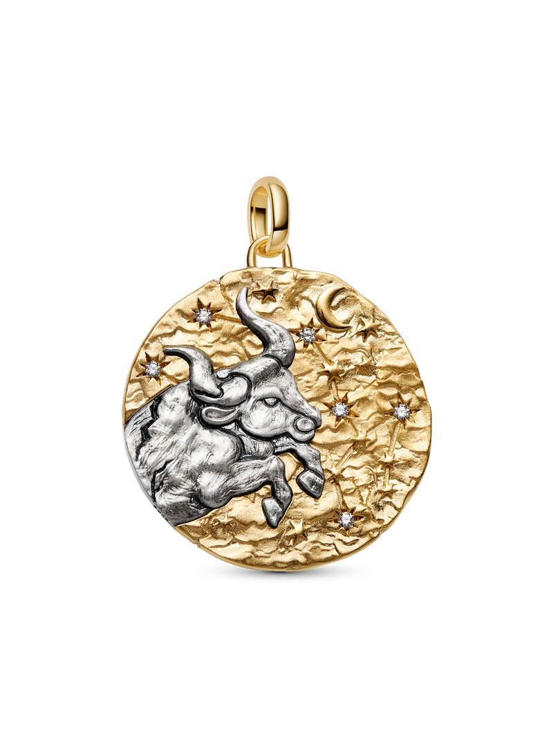 Taurus Zodiac Oversized Medallion Charm