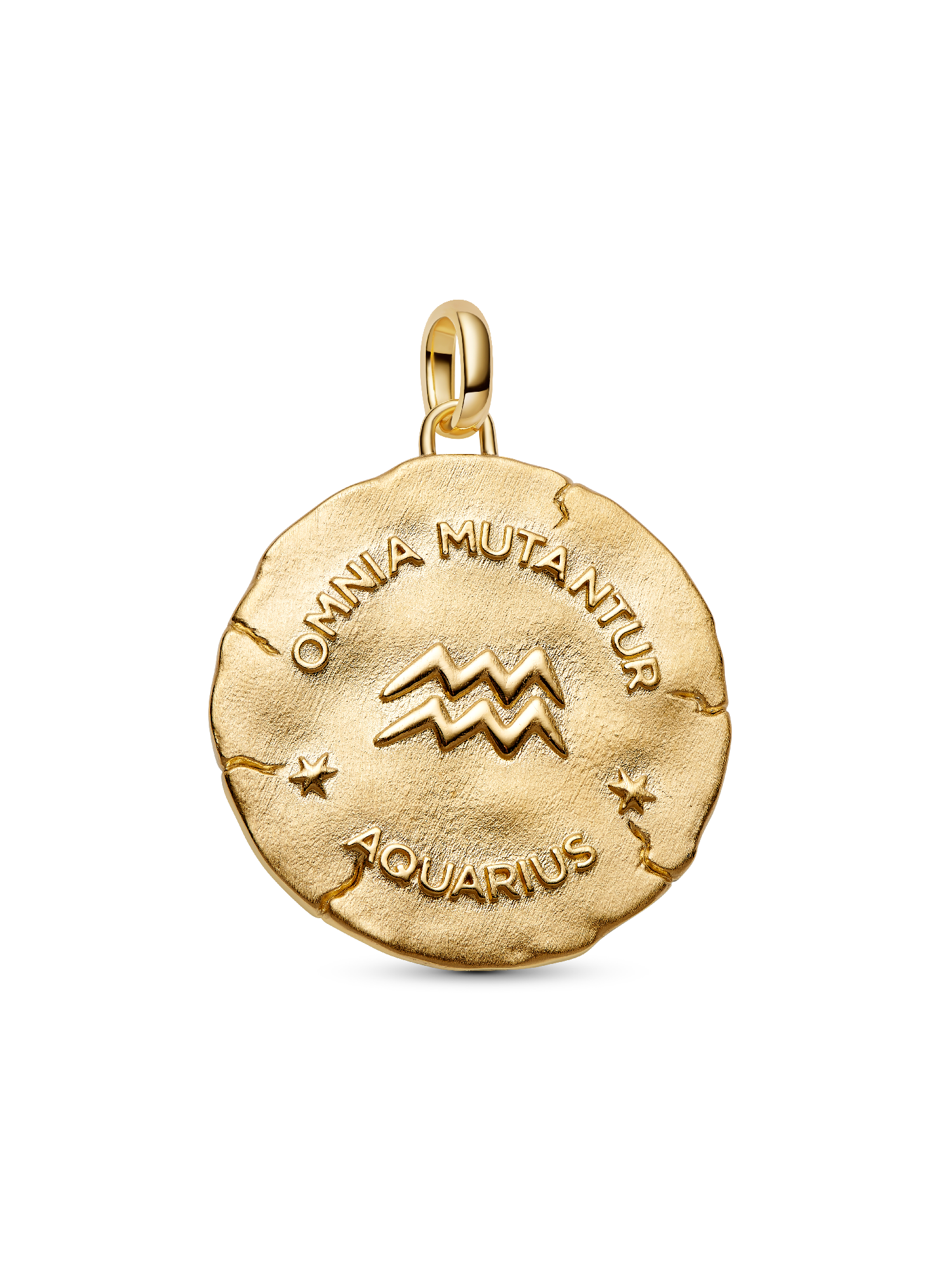 Aquarius Zodiac Oversized Medallion Charm