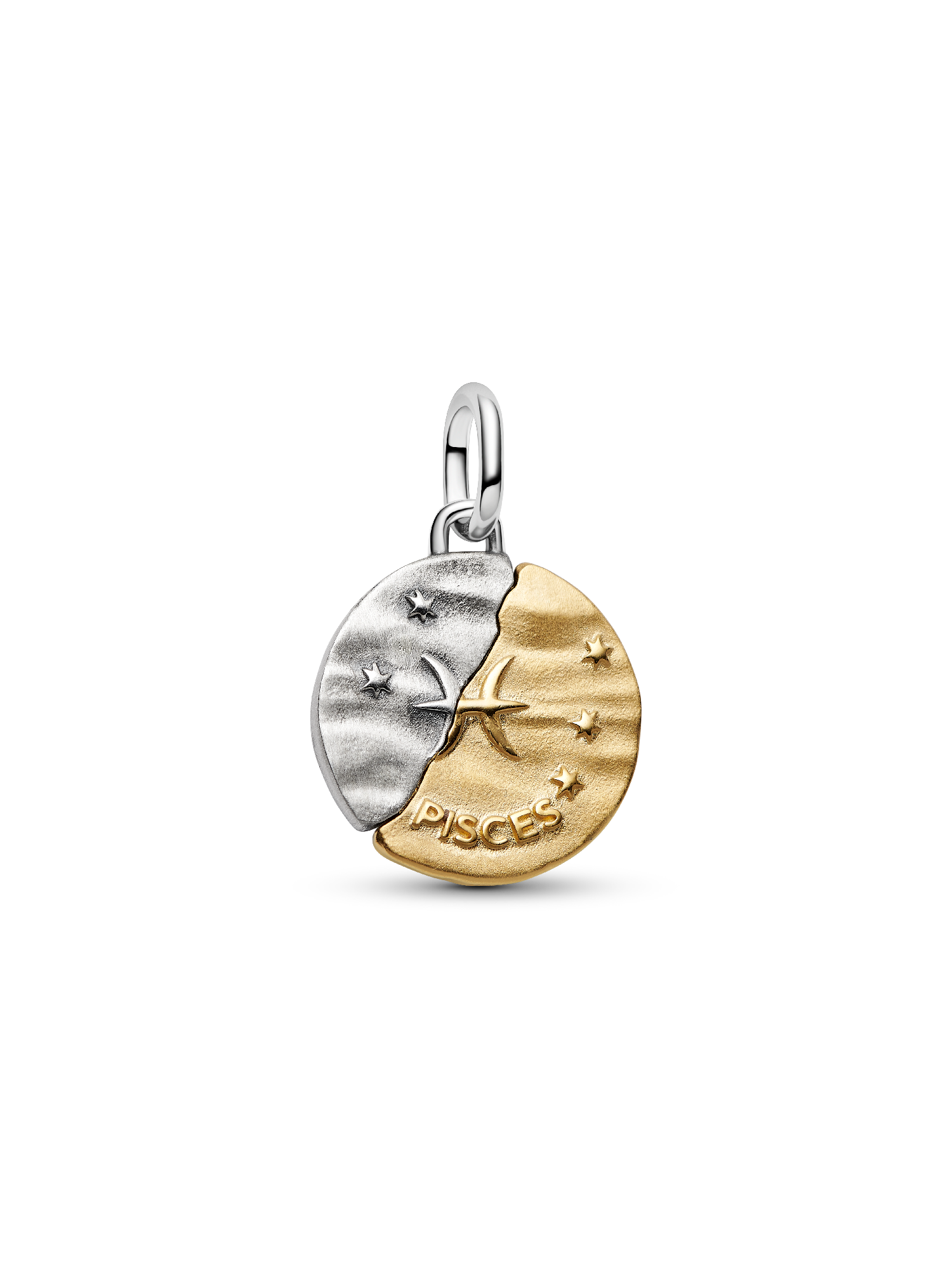 Pisces Zodiac Medallion Charm