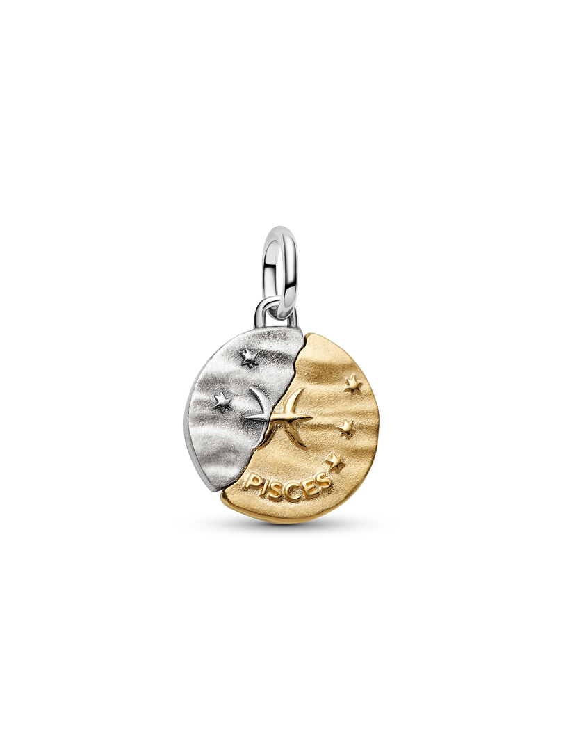 Pisces Zodiac Medallion Charm