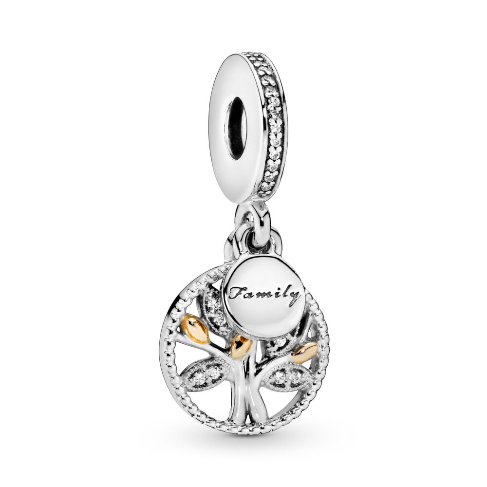 Family Heritage Dangle Charm with Cubic Zirconia | Two-tone 