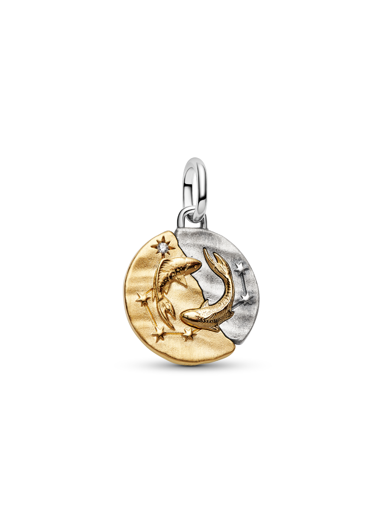 Pisces Zodiac Medallion Charm