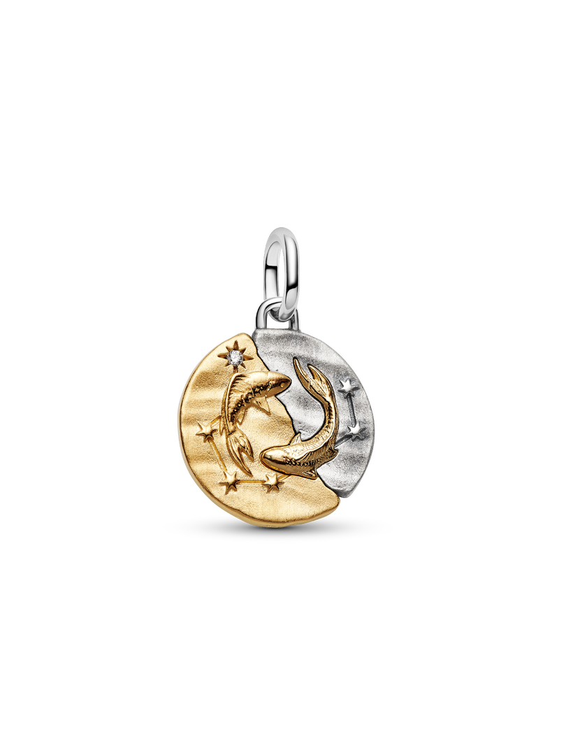 Pisces Zodiac Medallion Charm