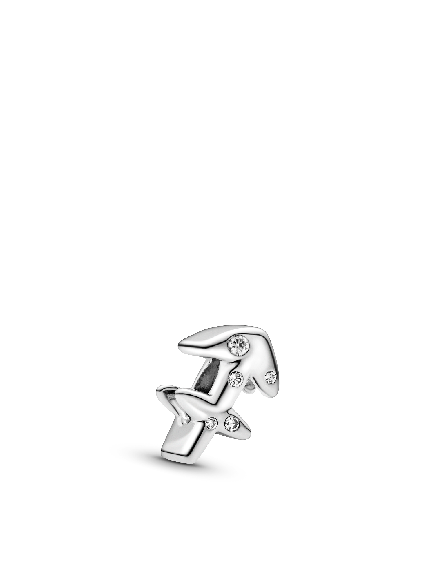 Sagittarius Zodiac Charm Bracelet Set