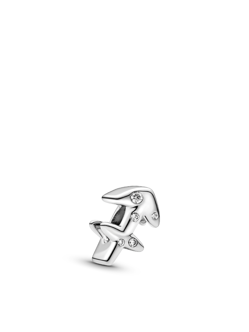 Sagittarius Zodiac Charm Bracelet Set