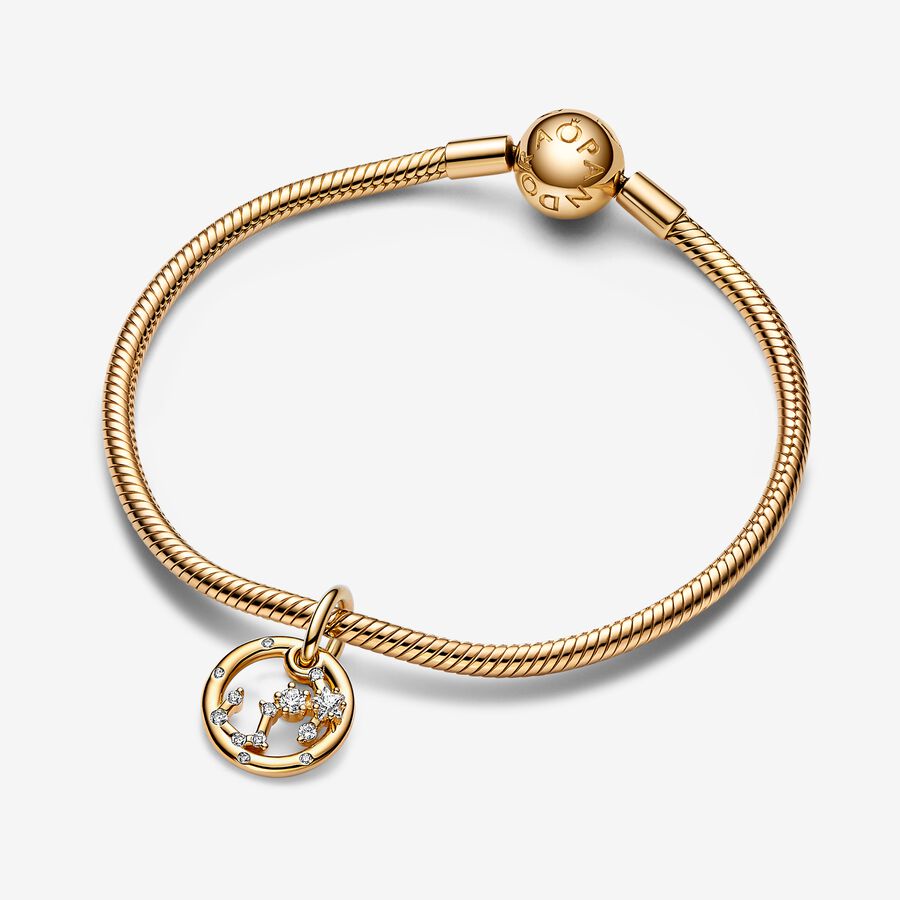 Ensemble de bracelets à breloques pendants du zodiaque Scorpion image number 0