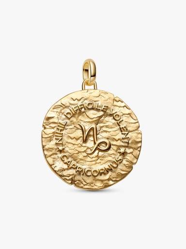 Capricorn Zodiac Oversized Medallion Charm