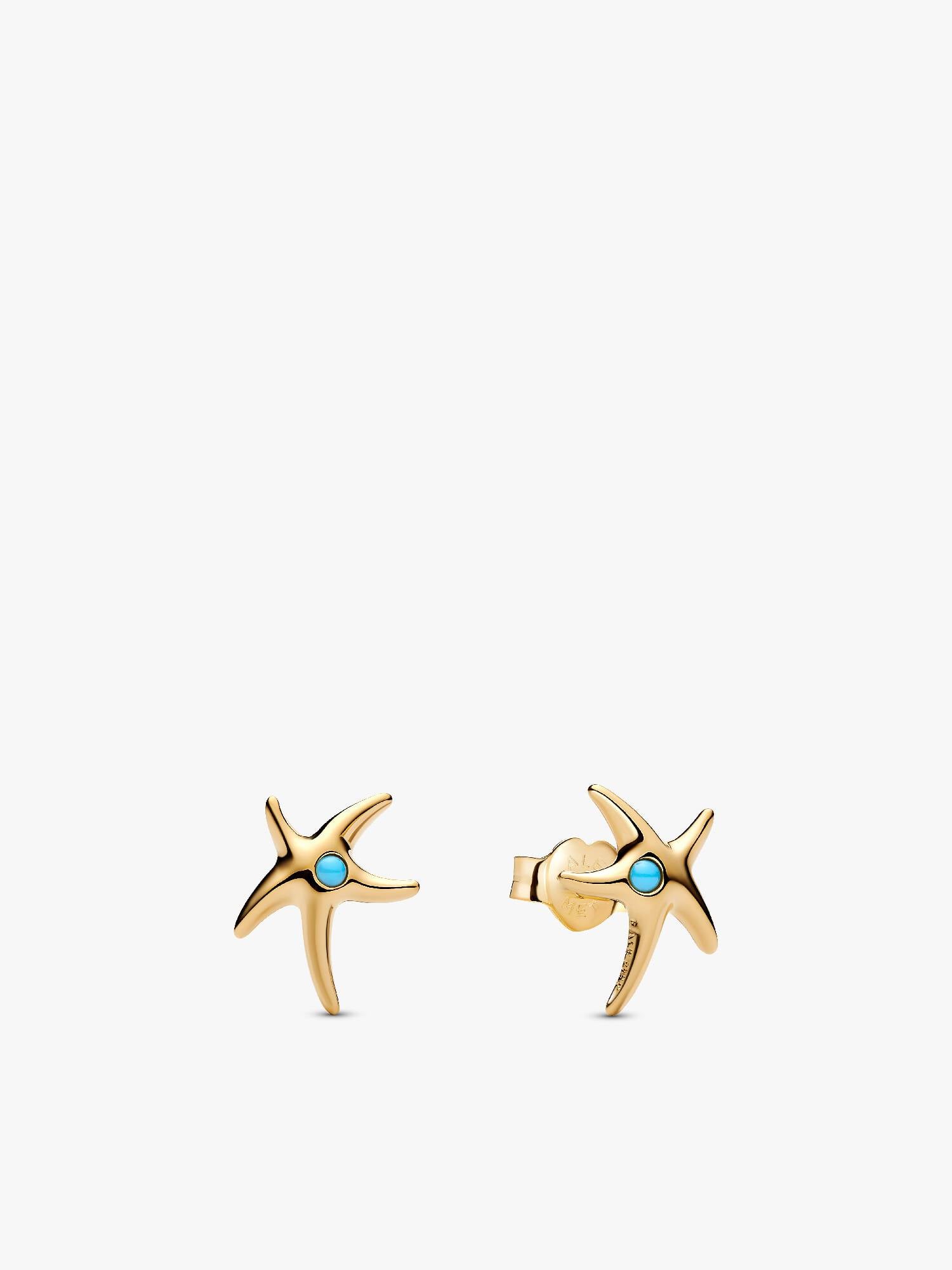 Clous d’oreilles Étoile de mer