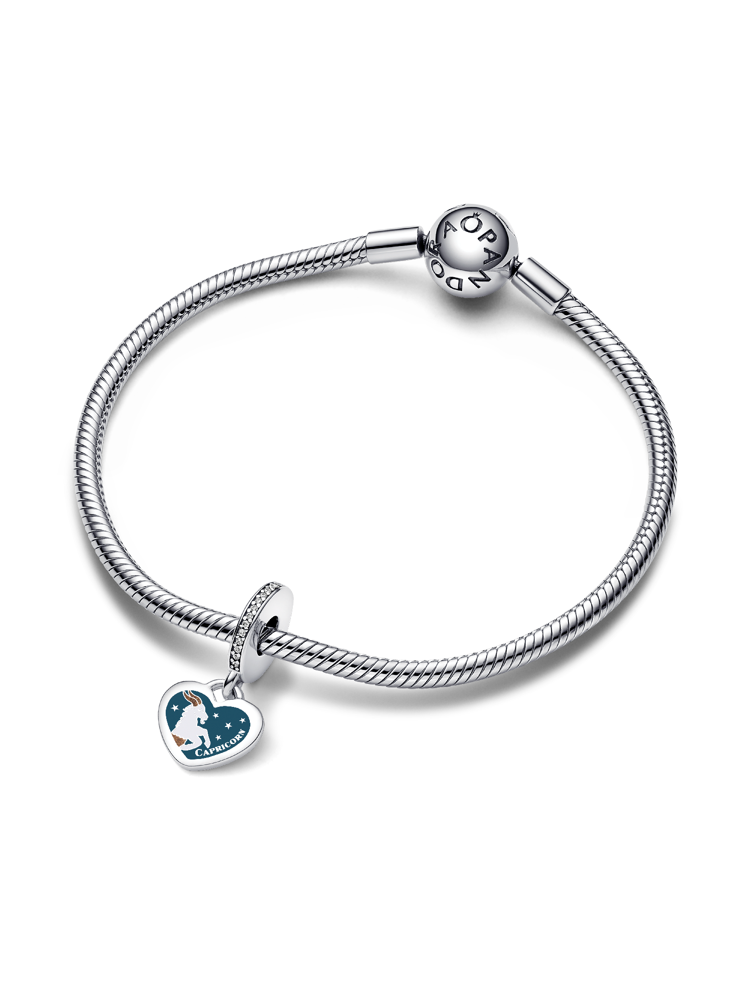 Capricorn Dangle Charm
