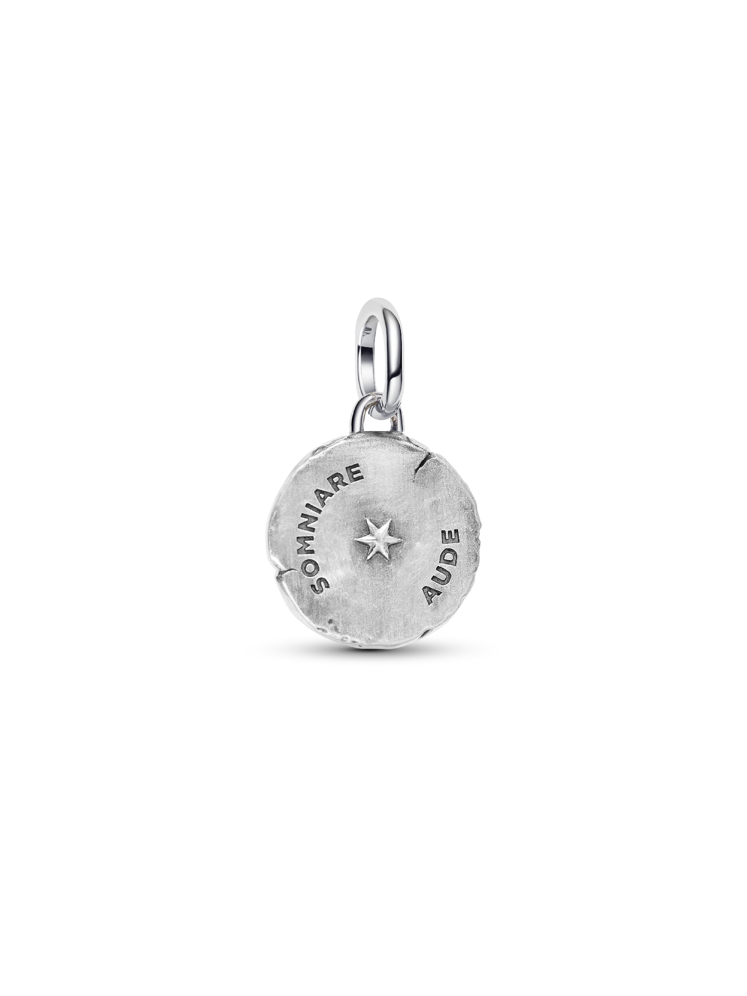 Butterfly Medallion Charm