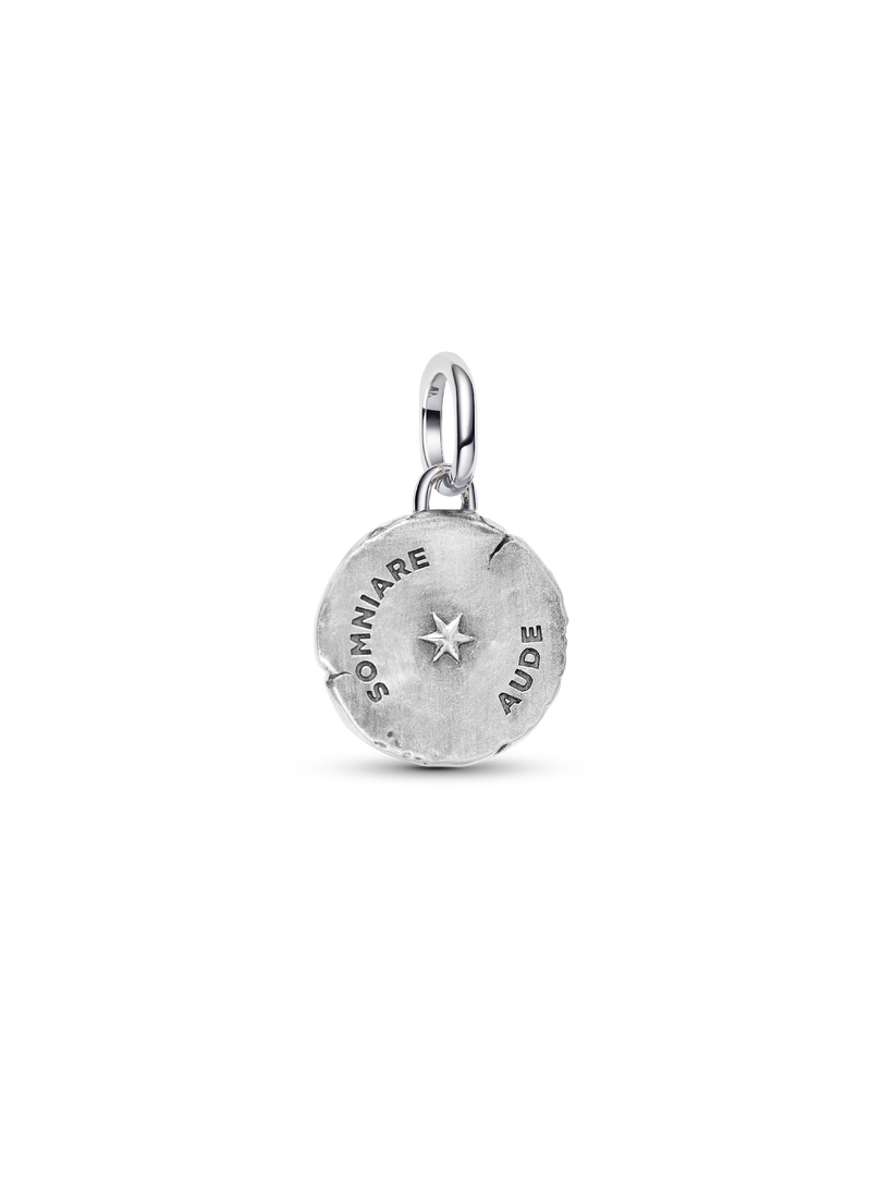 Butterfly Medallion Charm