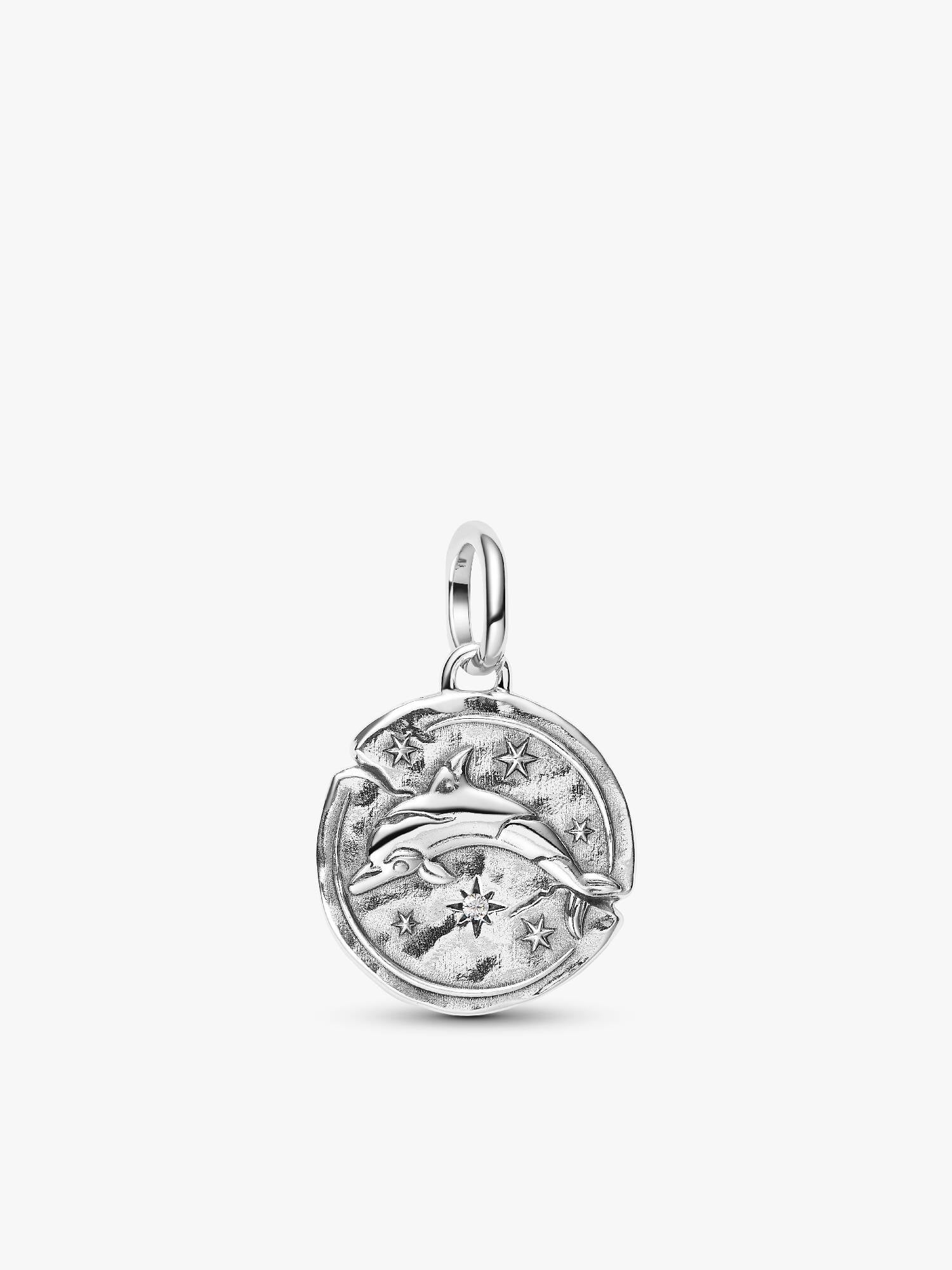 Dolphin Medallion Charm