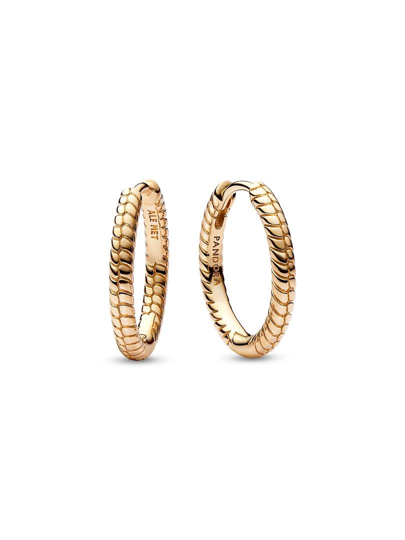 Pandora Moments Small Charm Hoop Earrings