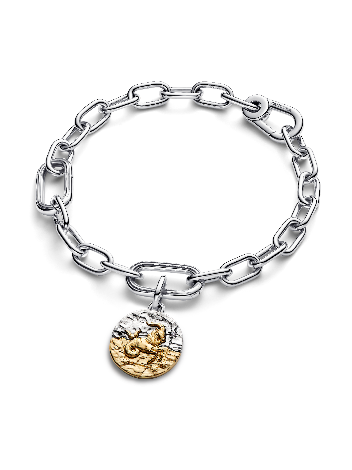 Capricorn Zodiac Medallion Charm