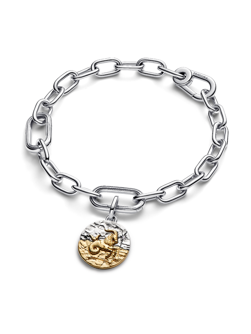Capricorn Zodiac Medallion Charm