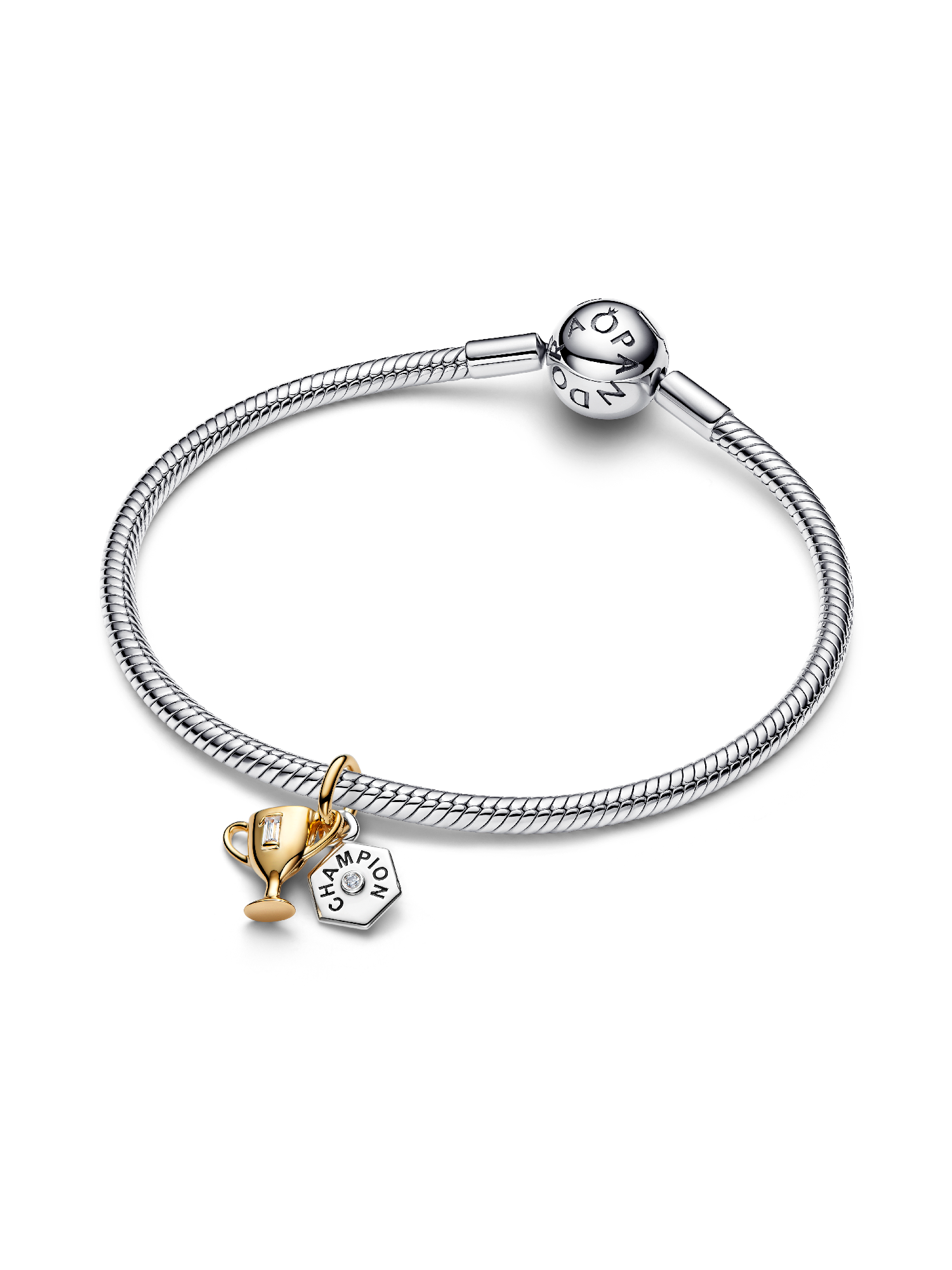 Engravable Trophy Double Dangle Charm