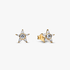 Sparkling Stella Stud Earrings Sparkling Stella Stud Earrings