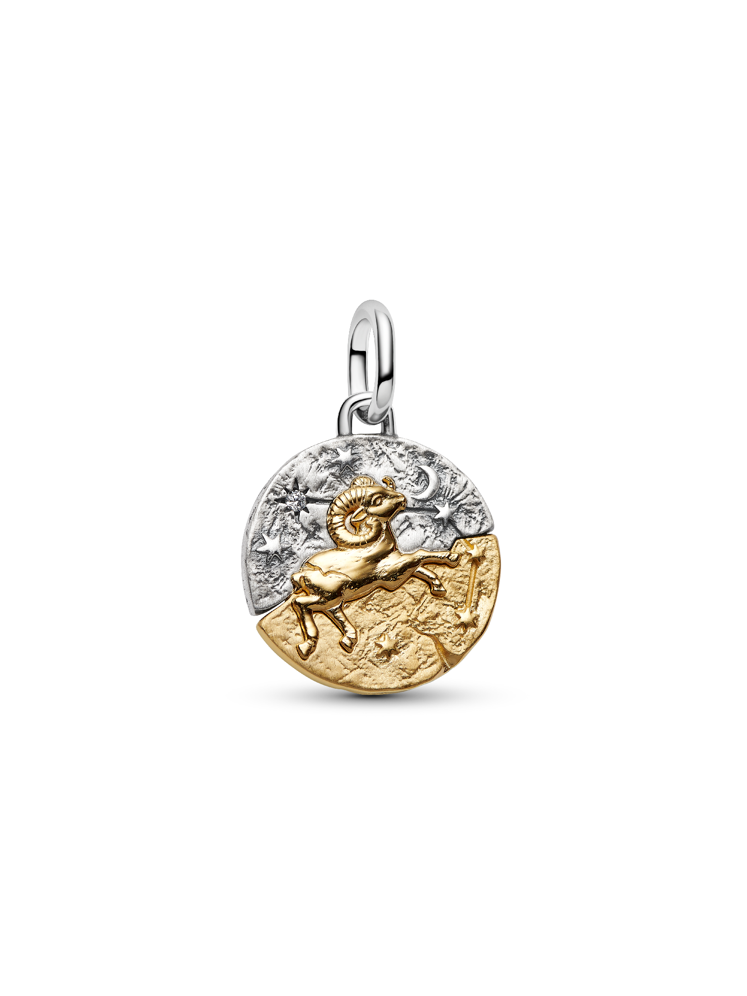 Aries Zodiac Medallion Charm