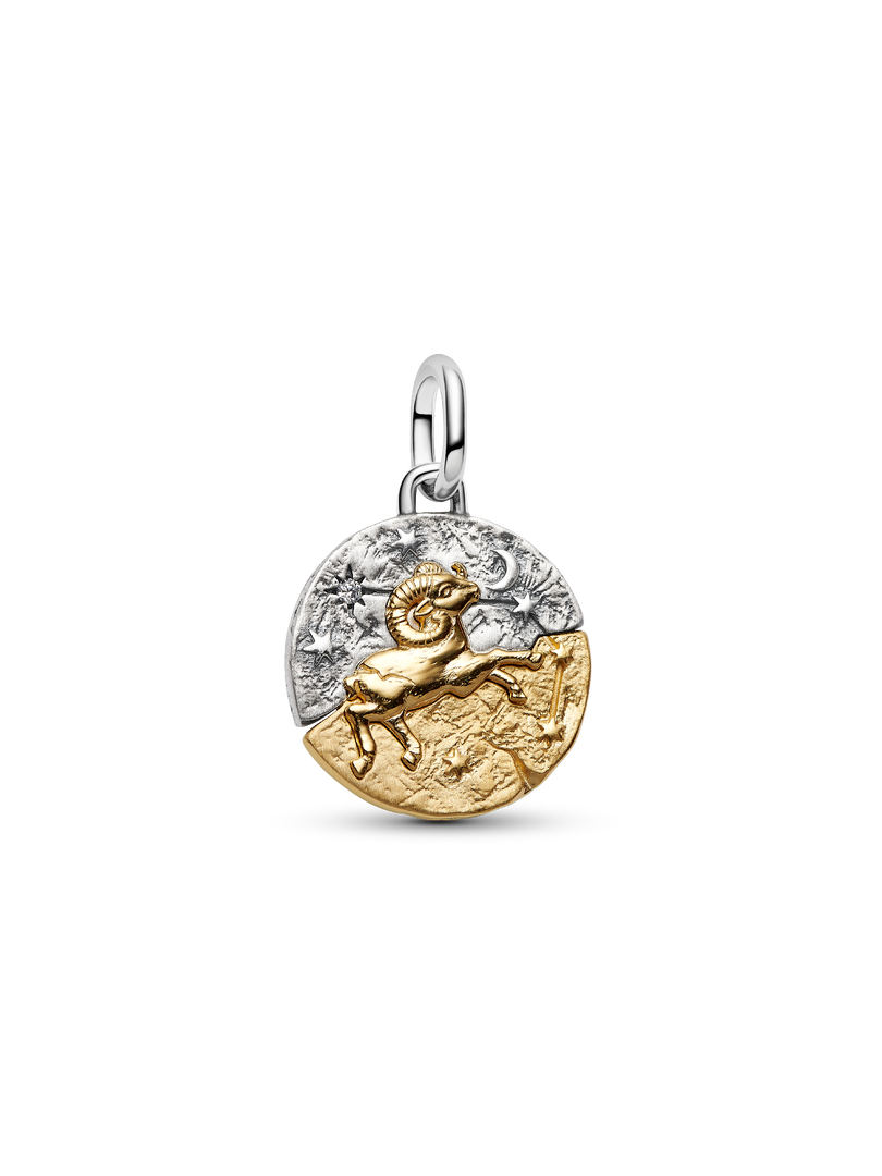 Aries Zodiac Medallion Charm