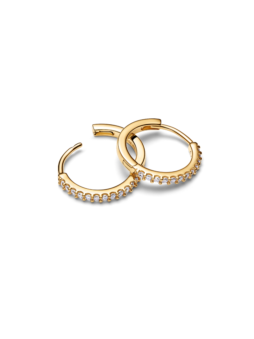 Small Sparkling Hoop Earrings