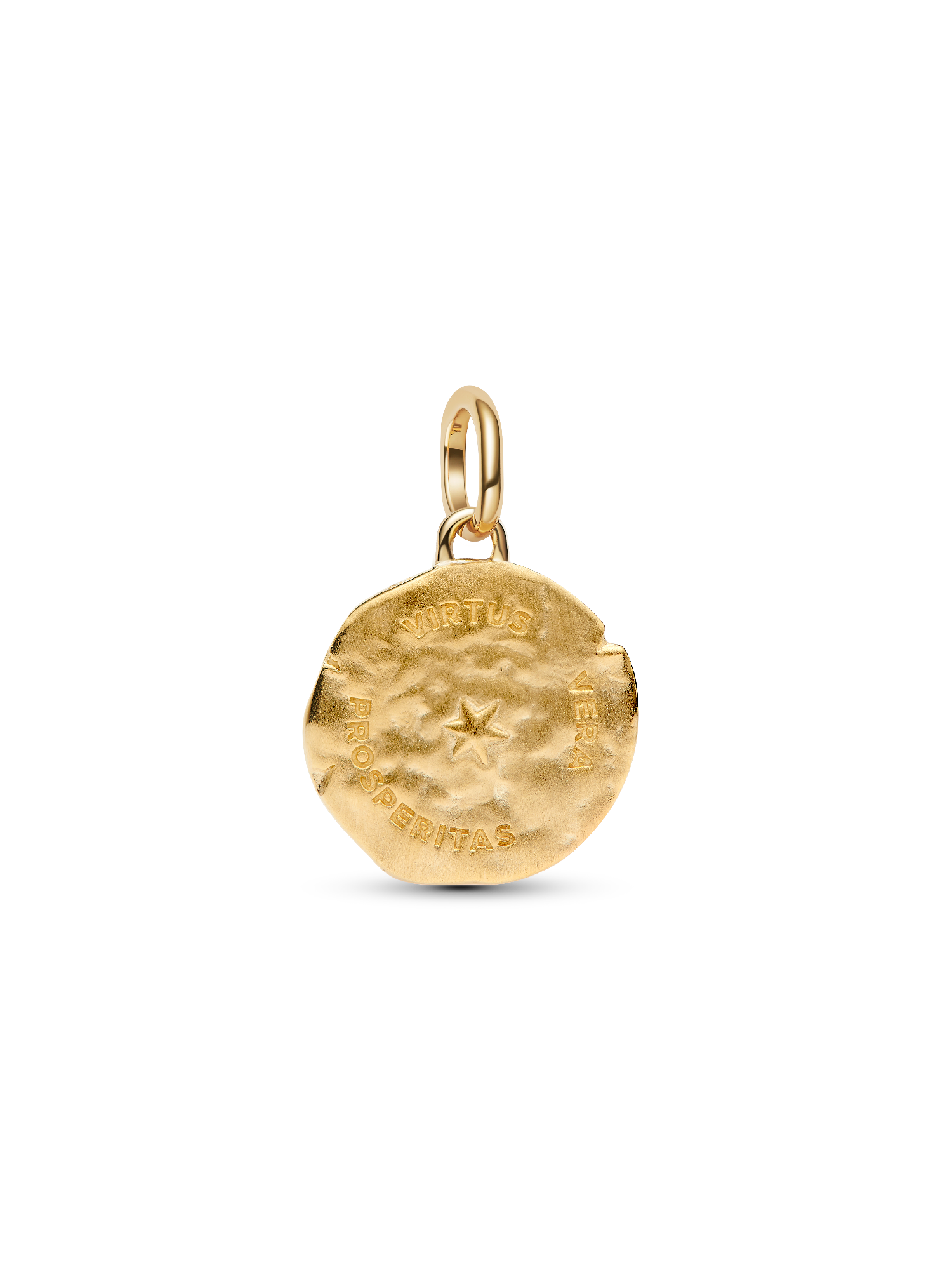 Wheat Medallion Charm