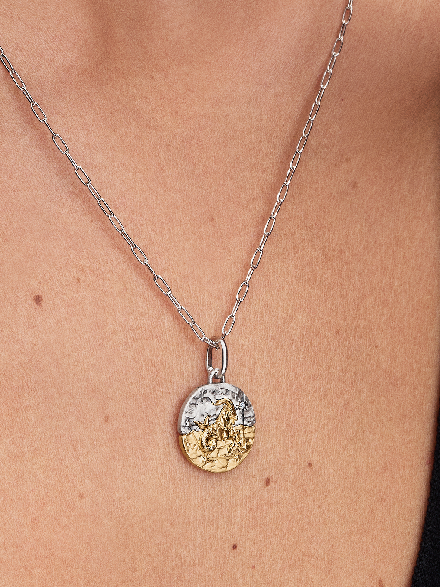 Capricorn Zodiac Medallion Charm