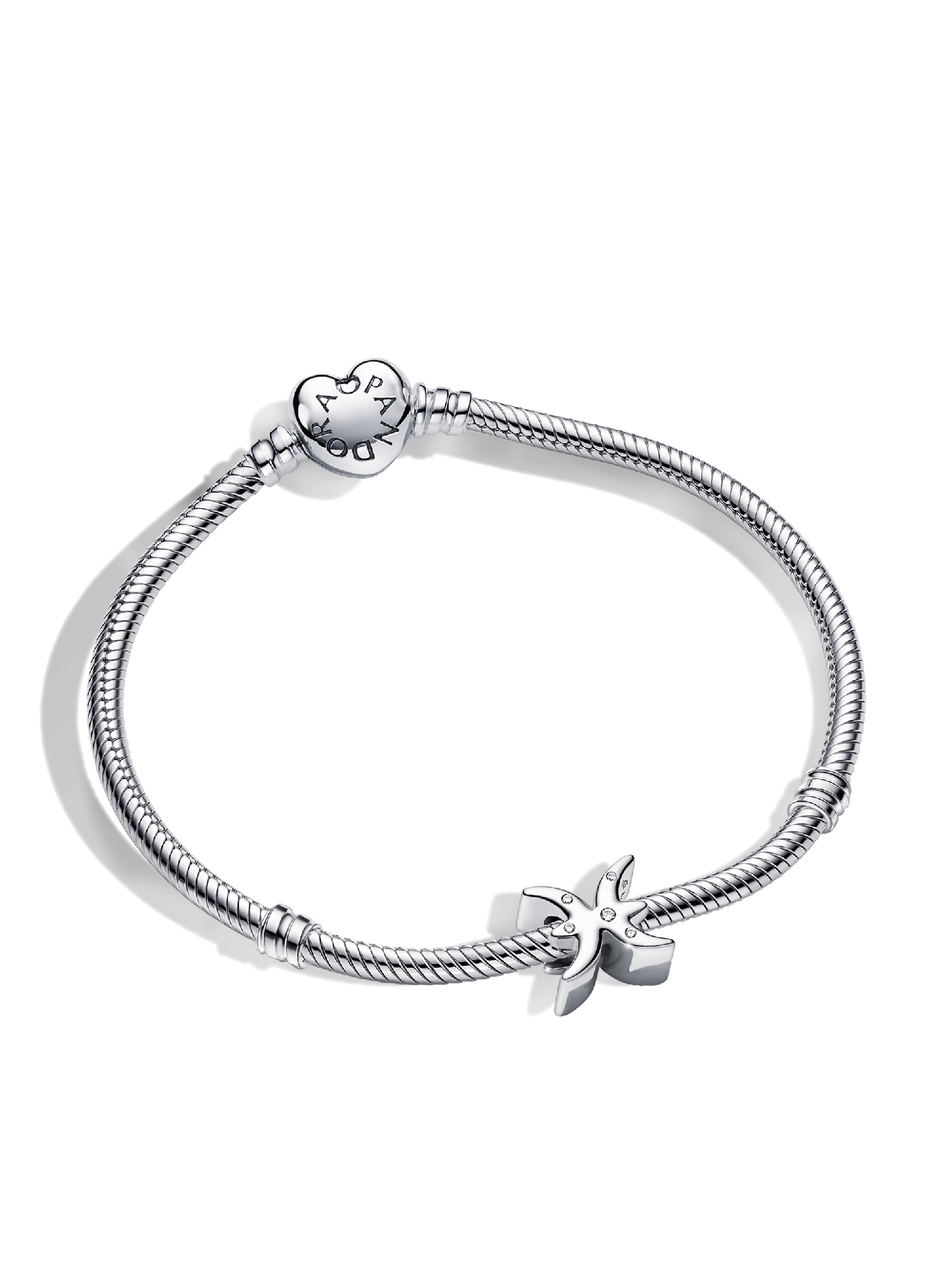 Pisces Zodiac Charm Bracelet Set