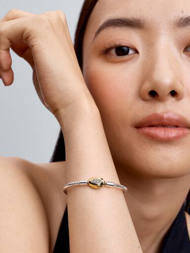 Snake Clasp & Chain Bracelet
