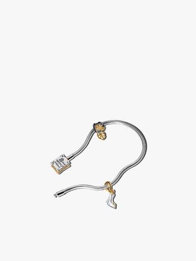 Premium Princess Tiana & Cinderella Storybook Bracelet and Charm Gift Set