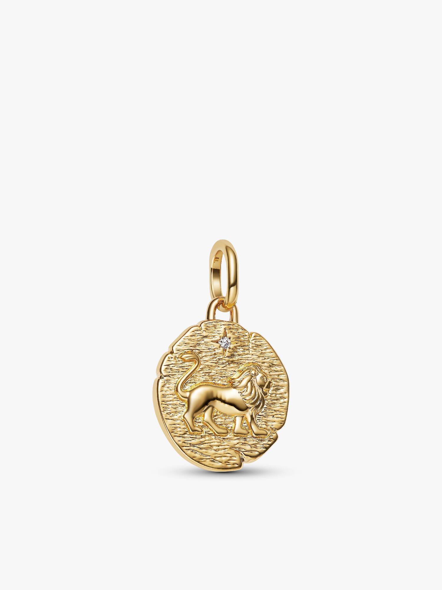 Charm-médaillon Lion