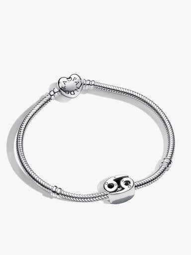 Ensemble de bracelets à breloques du zodiaque Cancer