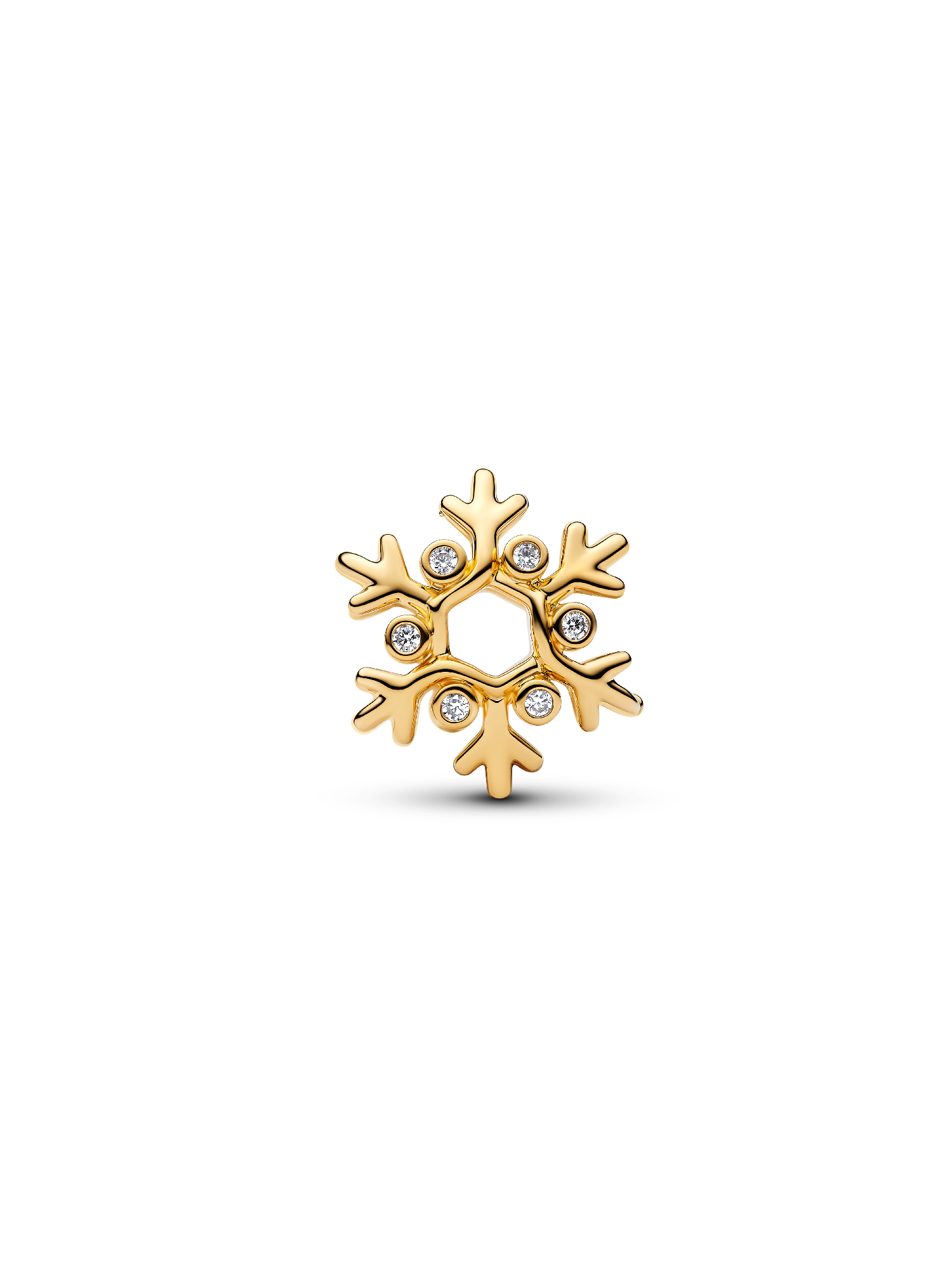 Snowflake Charm