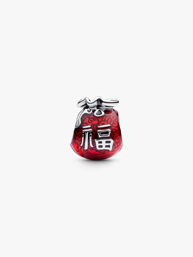 Lucky Bag Charm