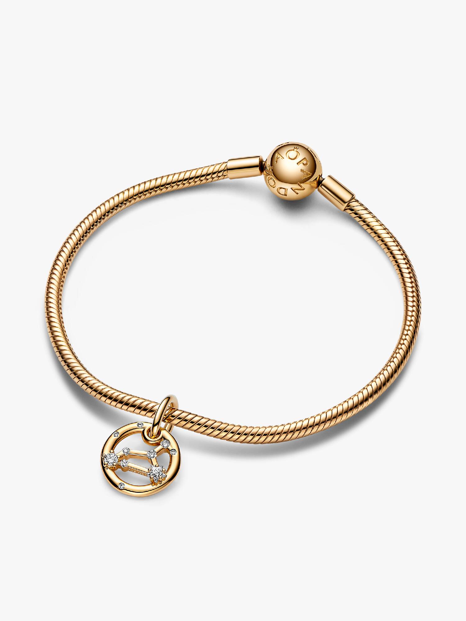 Ensemble de bracelets à breloques pendants du zodiaque Lion