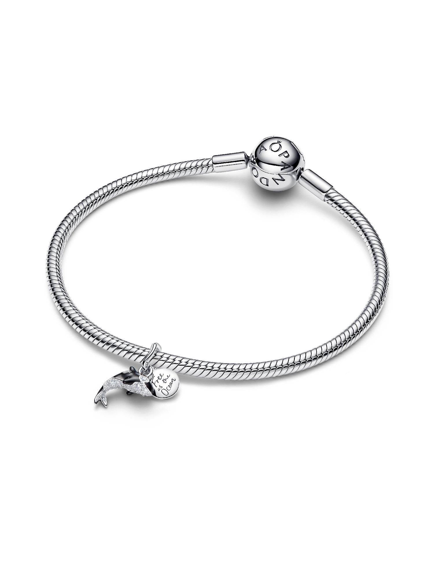 Orca Dangle Charm