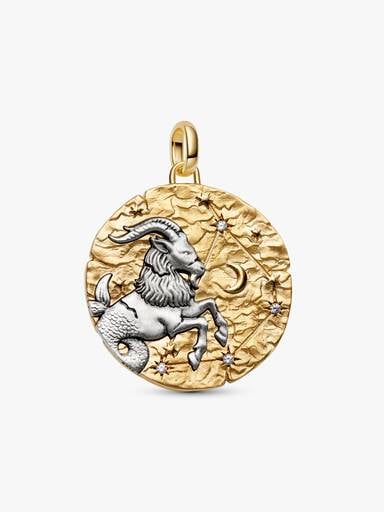 Capricorn Zodiac Oversized Medallion Charm