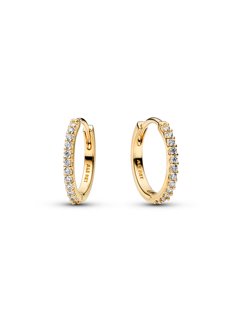 Small Sparkling Hoop Earrings
