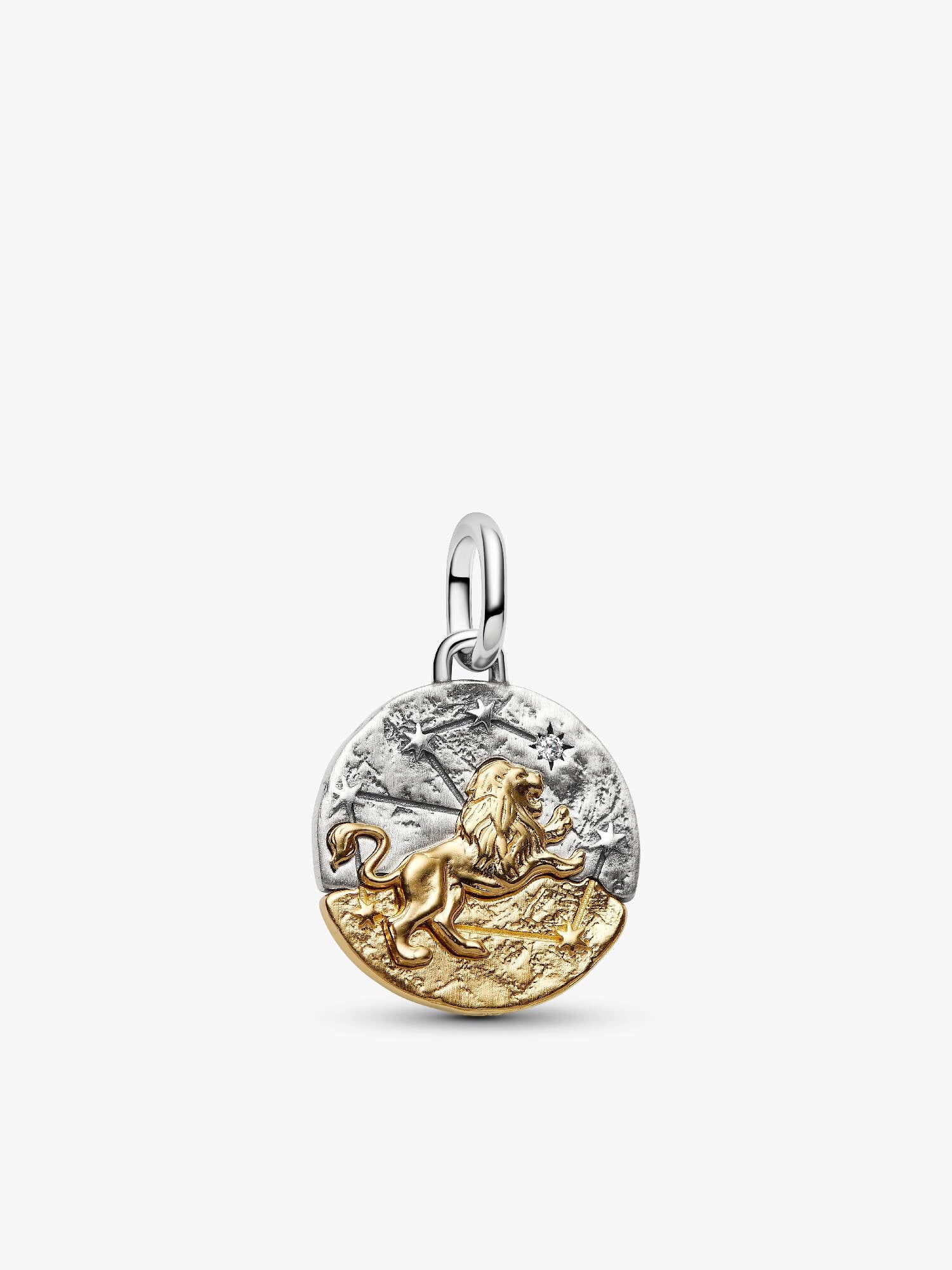 Leo Zodiac Medallion Charm