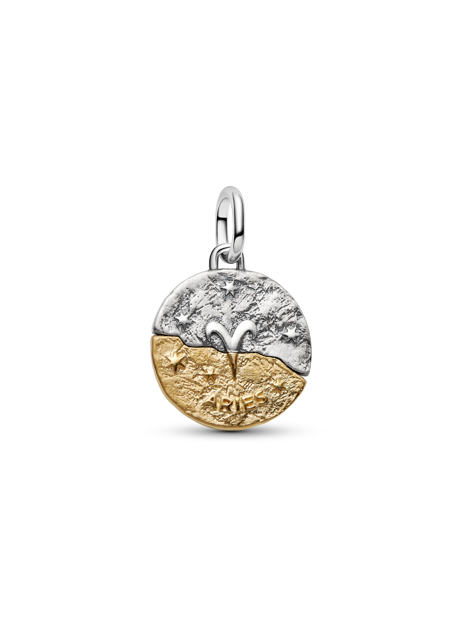 Aries Zodiac Medallion Charm