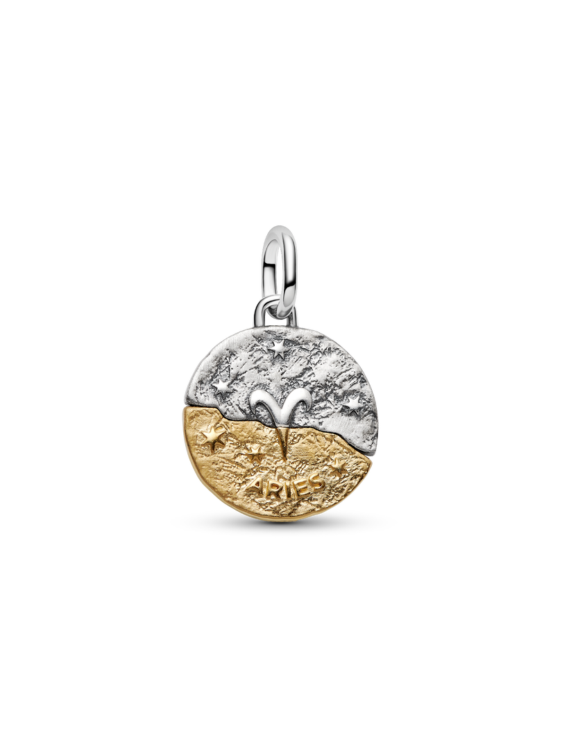 Aries Zodiac Medallion Charm