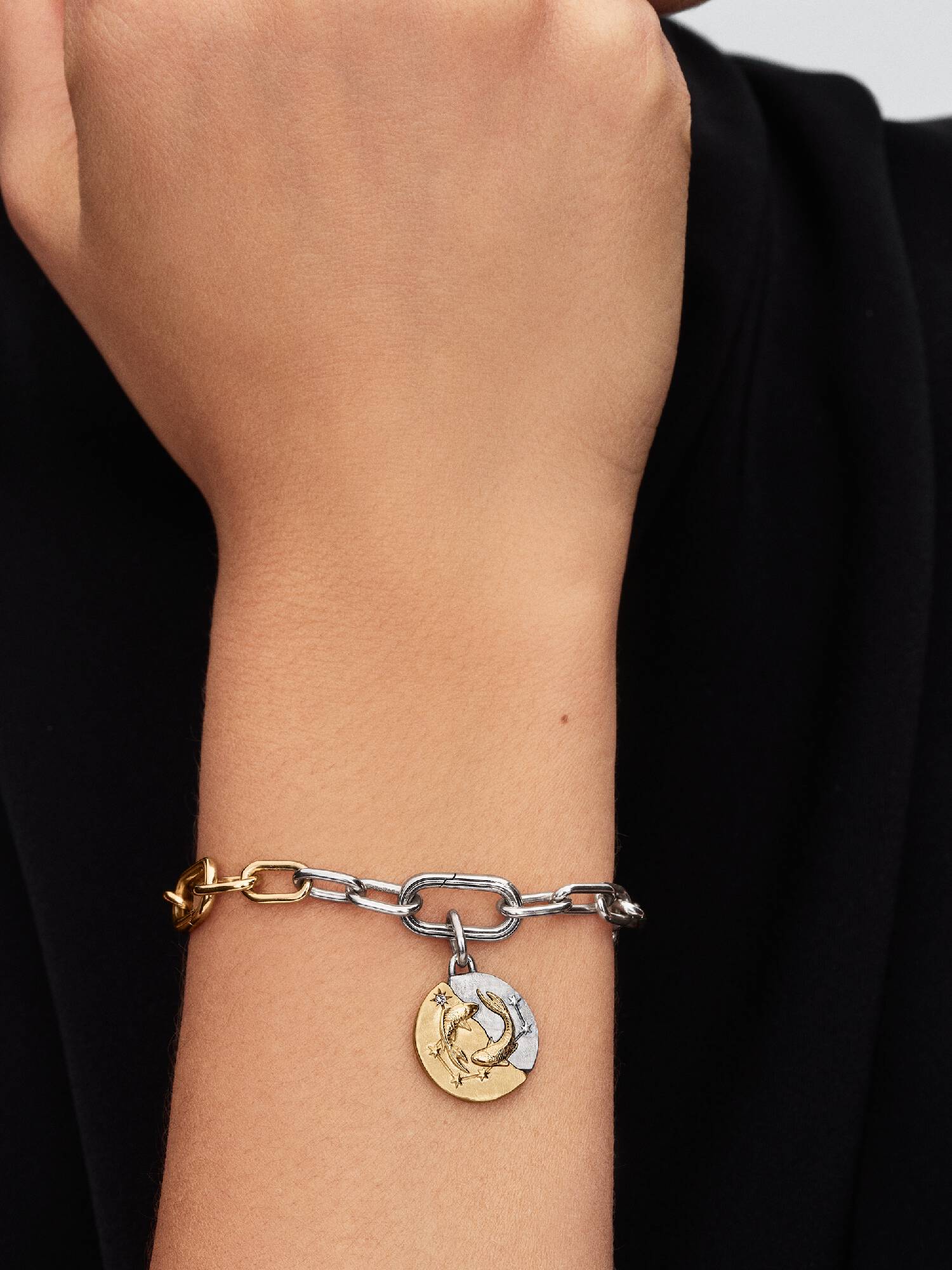 Pisces Zodiac Medallion Charm