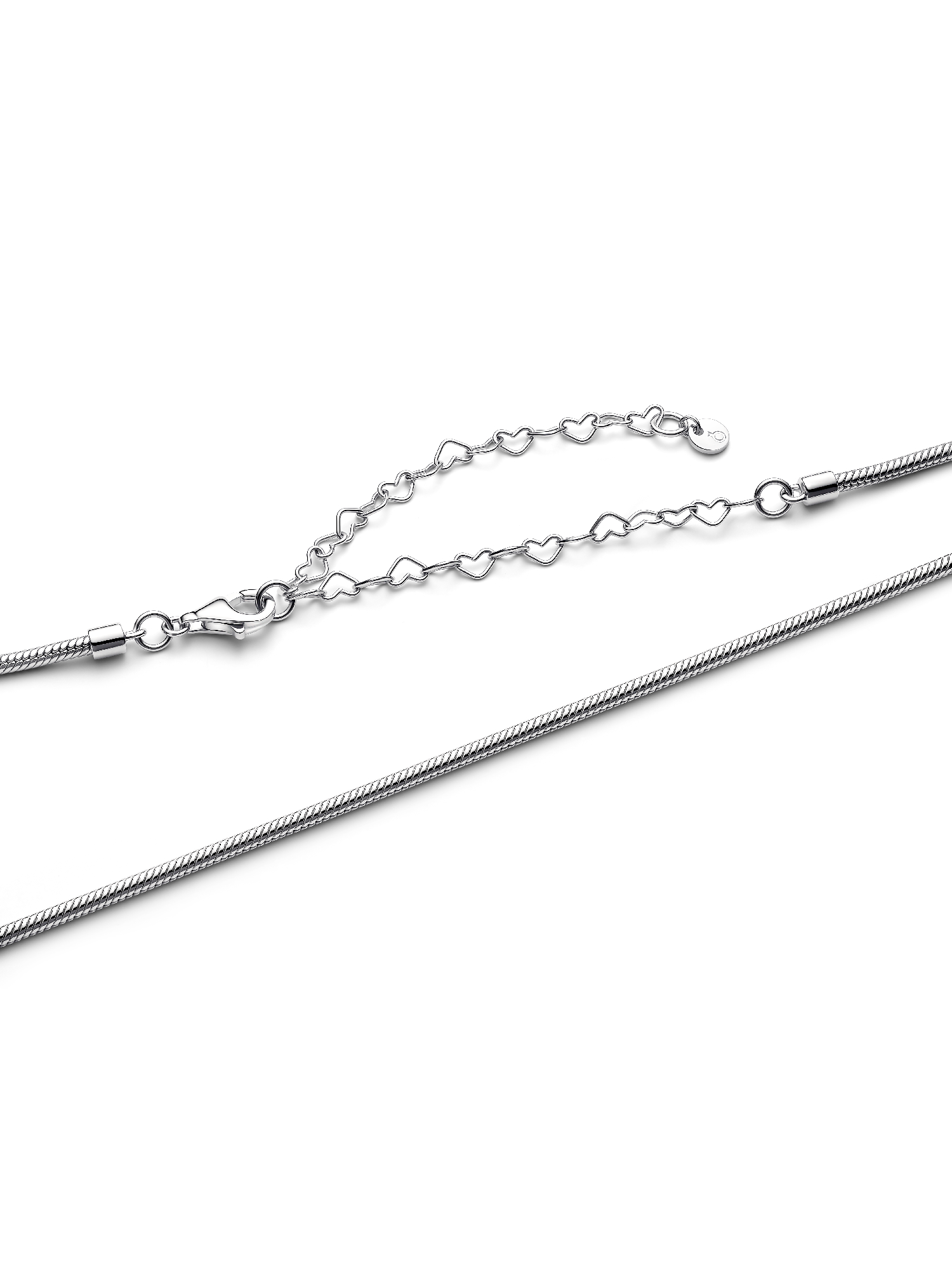 Slim Snake Chain Necklace