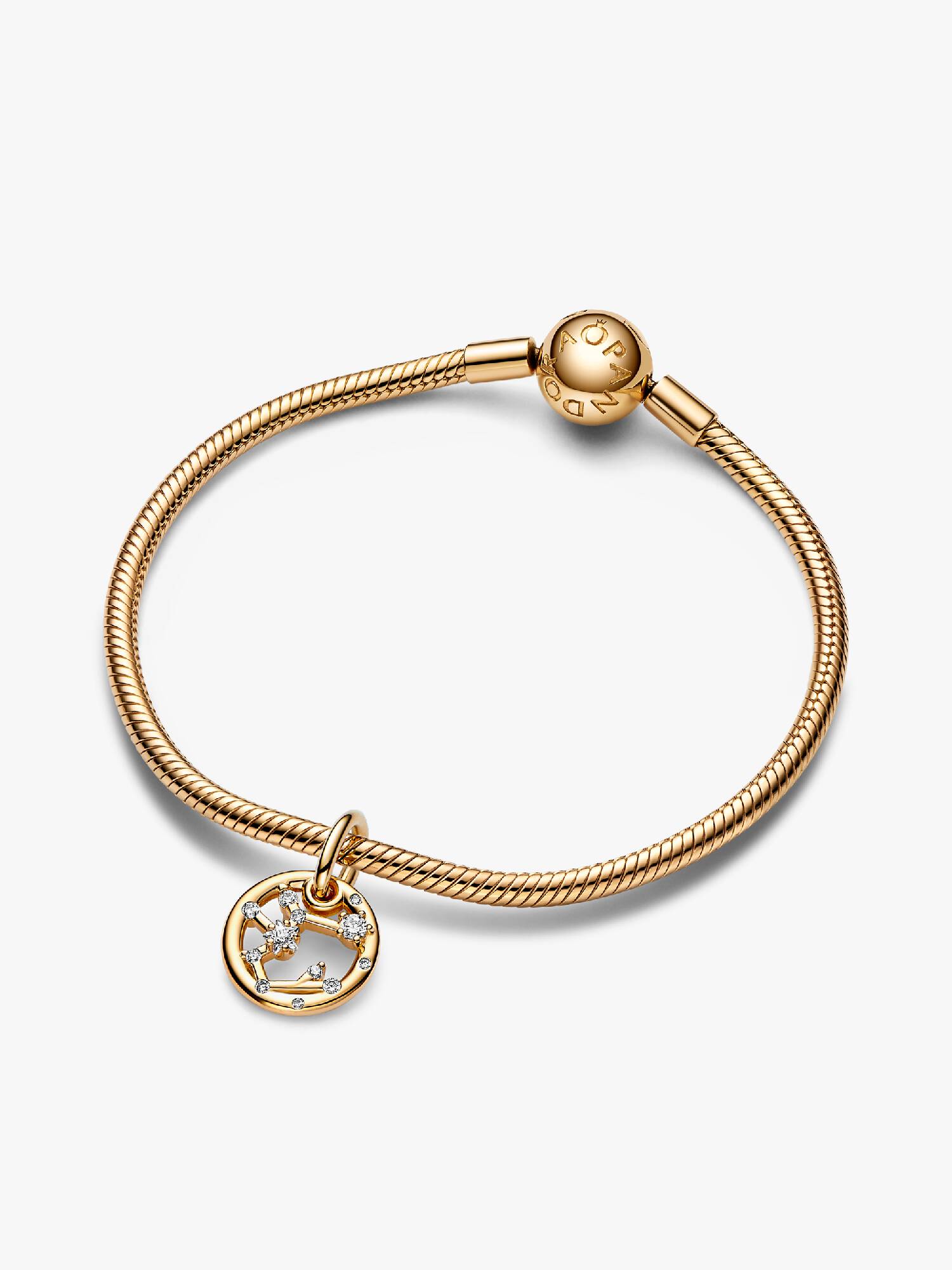 Sagittarius Zodiac Dangle Charm Bracelet Set