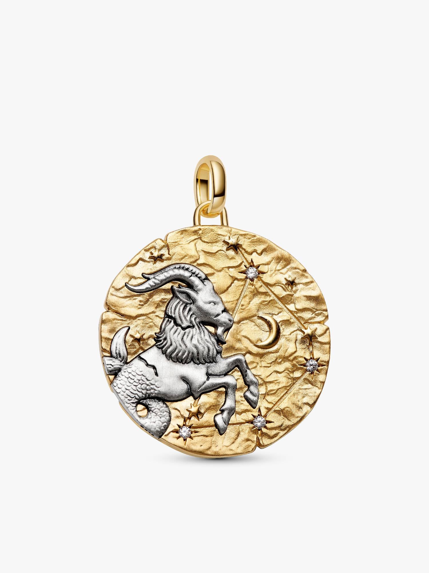 Capricorn Zodiac Oversized Medallion Charm