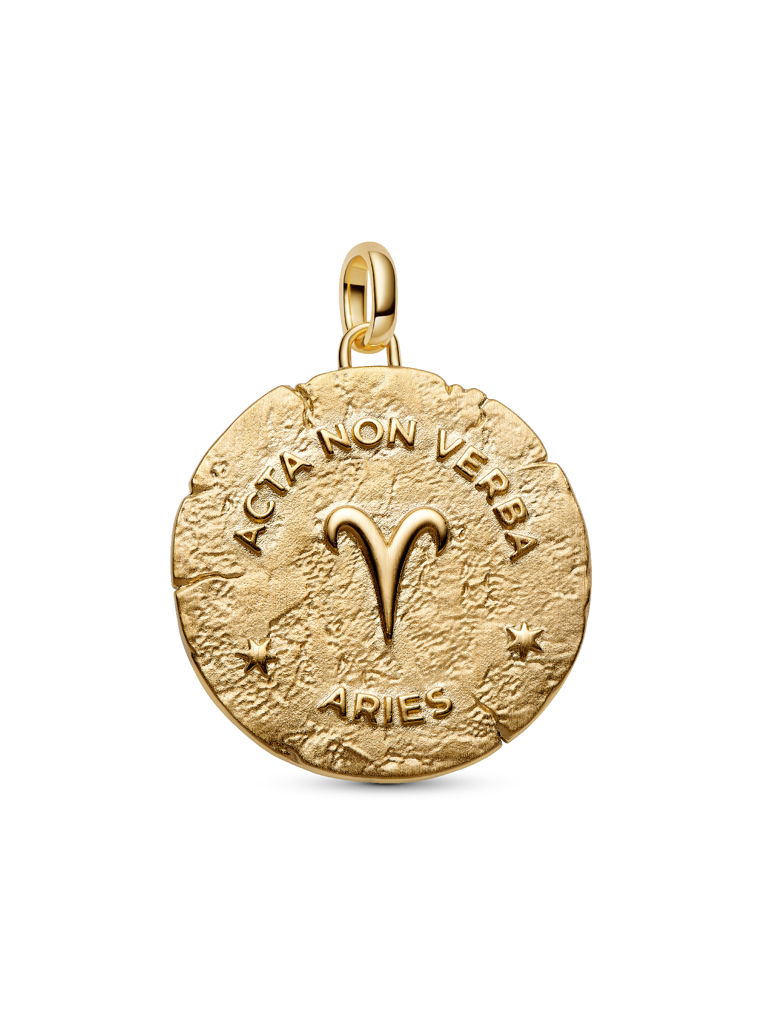 Aries Zodiac Oversized Medallion Charm