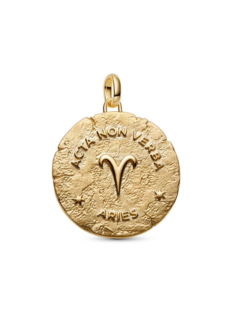 Aries Zodiac Oversized Medallion Charm