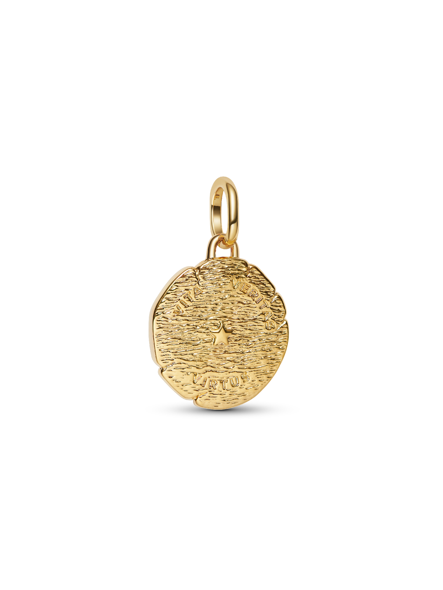 Lion Medallion Charm